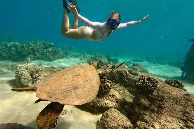 San Juan Guided Snorkel With Turtles Tour and Videos