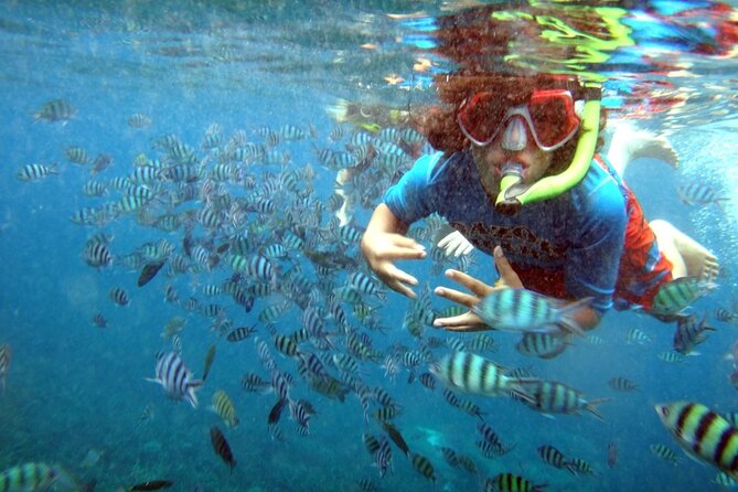 San Juan Guided Snorkeling Experience - With Transport 8am or 3pm - Guides can make or break the experience