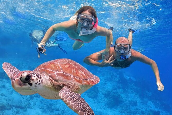 San Juan Guided Snorkeling Experience - With Transport 8am or 3pm - Who should book this San Juan snorkeling trip?