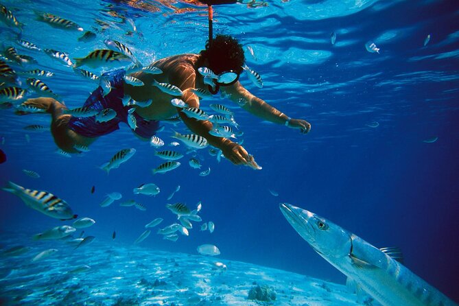 San Juan Guided Snorkeling Experience - With Transport 8am or 3pm - Practical details that affect your day