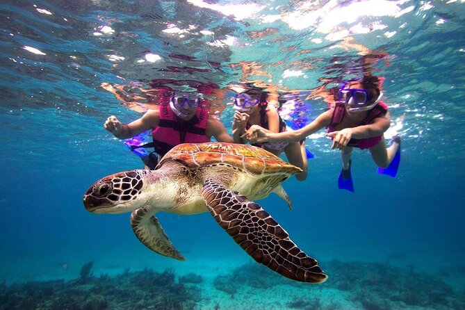 San Juan Guided Snorkeling Experience - With Transport 8am or 3pm - Up to 90 minutes looking for fish from shore