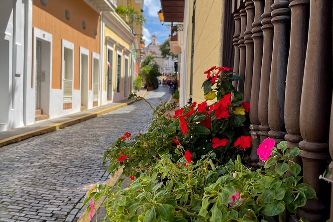 San Juan Highlights Driving Tour - Transportation, group size, and pace