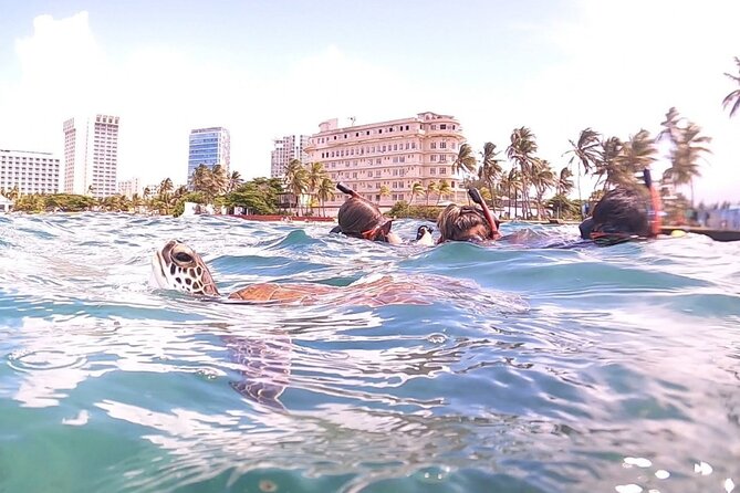 San Juan: Kids and Family Snorkeling Adventure with Videos - Equipment, videos, and what you must bring