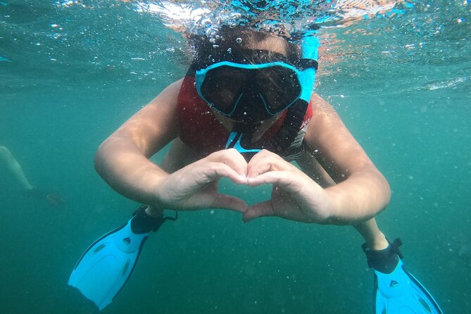 San Juan: Kids and Family Snorkeling Adventure with Videos - Finding the meeting point in San Juan