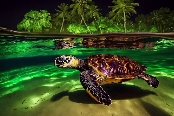 San Juan LED Night Snorkel - Key points to know before you book