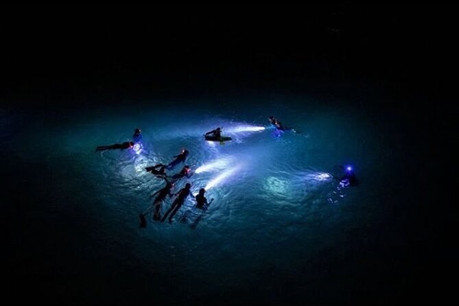 San Juan LED Night Snorkel - Who will enjoy this San Juan activity most?