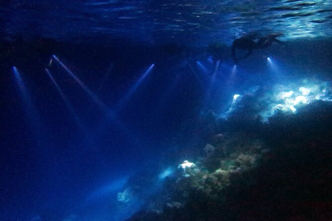 San Juan LED Night Snorkel - The first minutes in the water