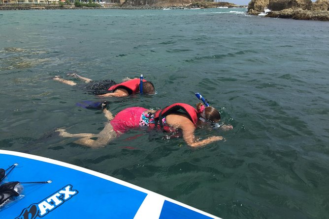 San Juan | Paddleboard | Kayak | Snorkeling | Guided Tours - Looking for manatees and lagoon wildlife