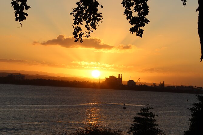 San Juan Private Old Walking Tour - What the reviews reveal about the guide