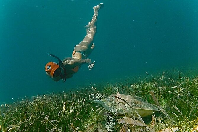 San Juan Snorkel with Turtles and Manatee's; Free Video and Rum! - Who Will Enjoy This Most