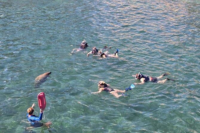 San Juan Snorkel with Turtles and Manatee's; Free Video and Rum! - A Workout, Not a Passive Beach Activity