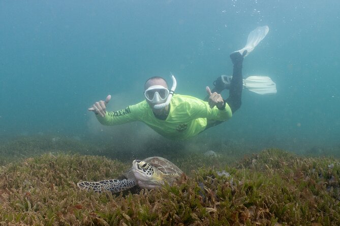 San Juan Snorkeling Tour with Fish and Turtles - From gear fitting to 45 minutes in the water