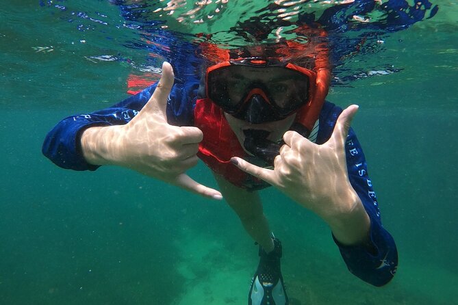 San Juan: Snorkeling with Turtles Adventure and Free Videos - Why the guides make a difference