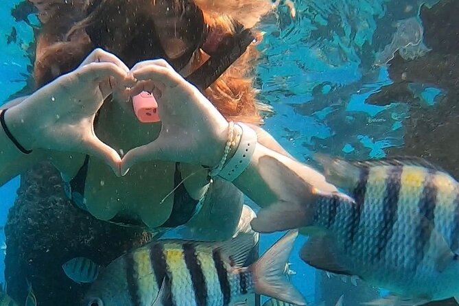 San Juan: Snorkeling with Turtles Adventure and Free Videos - Free videos and the value of the $45 price