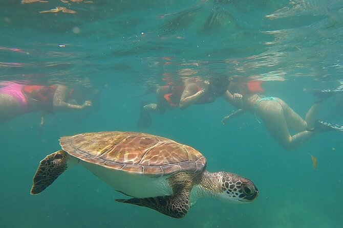 San Juan: Snorkeling with Turtles Adventure and Free Videos - Who will enjoy this San Juan snorkeling trip
