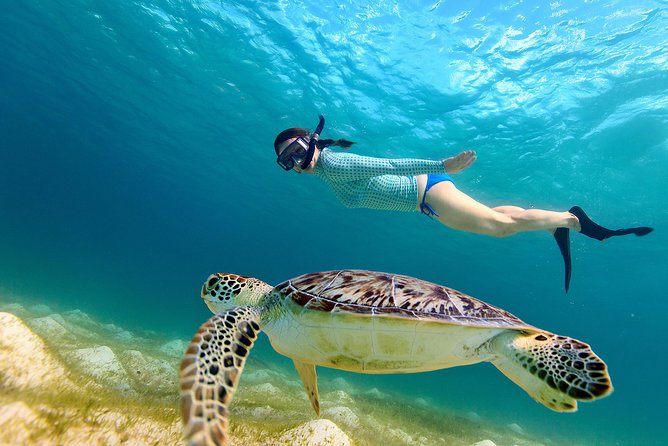 San Juan Turtle Spotting Snorkel Adventure with Videos - Key points about the El Escambrón turtle swim