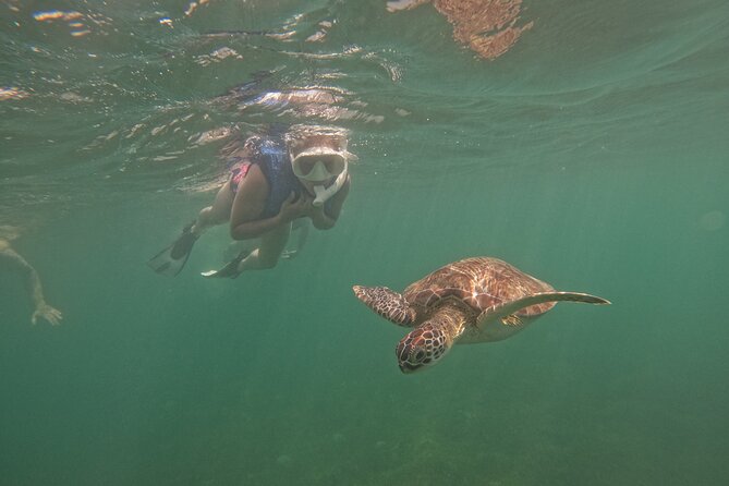 San Juan Turtle Spotting Snorkel Adventure with Videos - Meeting at Batería del Escambrón
