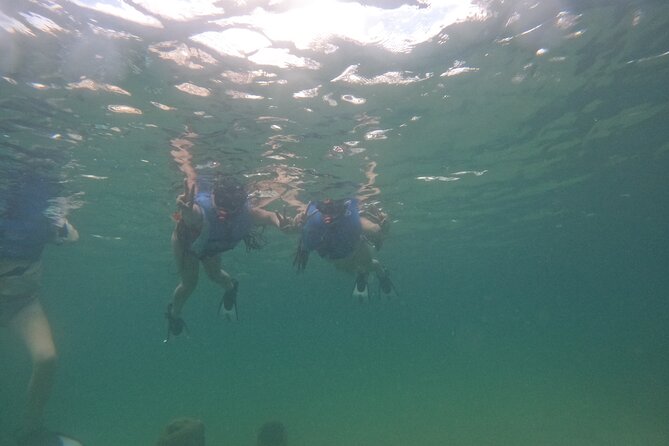 San Juan Turtle Spotting Snorkel Adventure with Videos - What water conditions can change