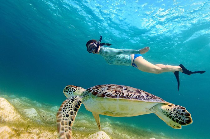 San Juan Turtle Spotting Snorkel Adventure with Videos - Guides who shape the experience