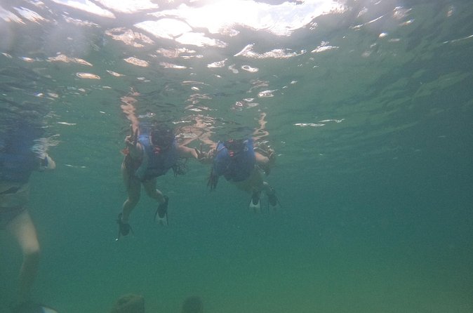 San Juan Turtle Spotting Snorkel Adventure with Videos - The included videos are worth considering