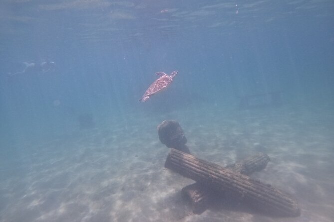 San Juan Turtle Spotting Snorkel Adventure with Videos - The safety briefing and gear fitting