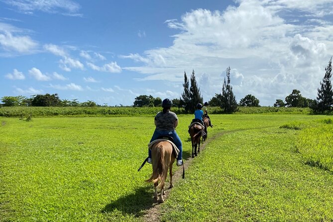 Scenic Horseback Riding Tour from San Juan - Riding across 2,200 acres of countryside