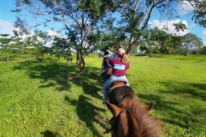 Scenic Horseback Riding Tour from San Juan - What the trail feels like in real conditions