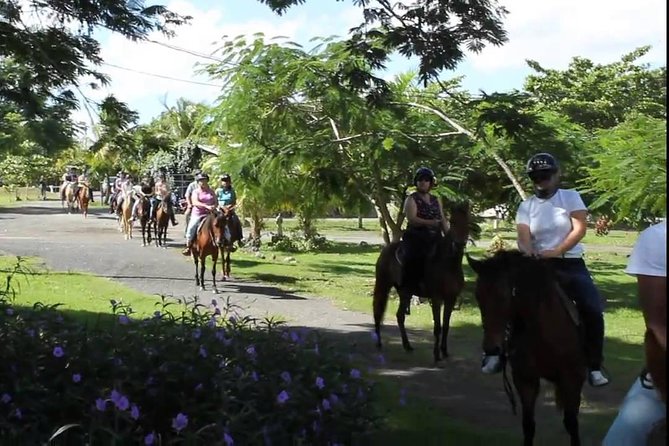 Scenic Horseback Riding Tour from San Juan - Why the guides matter so much