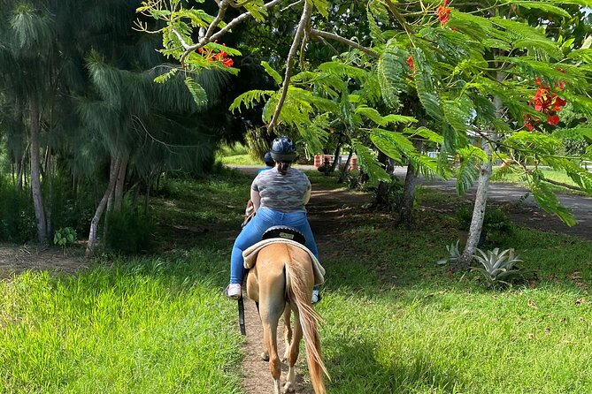 Scenic Horseback Riding Tour from San Juan - The weight limit is not a minor detail