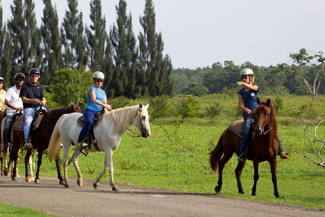 Scenic Horseback Riding Tour from San Juan - Meeting your horse and learning the basics