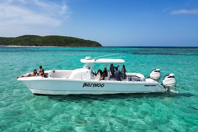 Scuba Dive and Snorkel Private Charter in Puerto Rico - A private boat day built around one shared reef