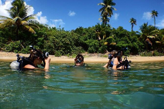 Scuba Dive and Snorkel Private Charter in Puerto Rico - What the Ceiba reef stop is really about