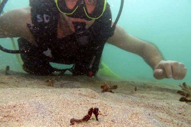 Scuba Tour for Certified Divers in San Juan - Is $91 good value for a one-tank outing?