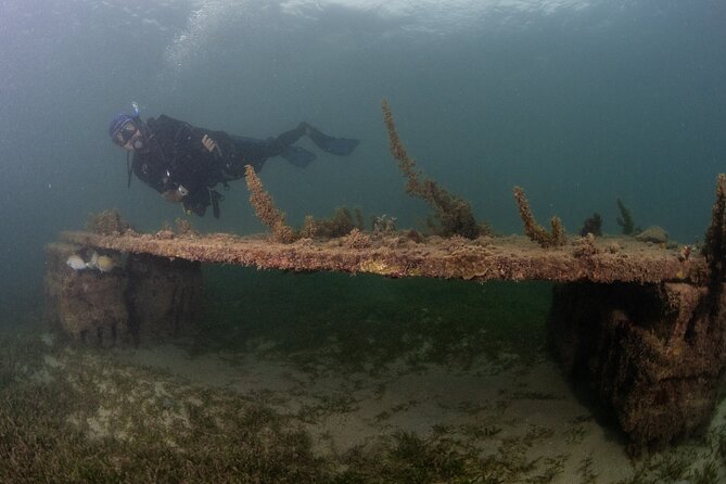 Scuba Tour for Certified Divers in San Juan - The meeting point and the shape of your day