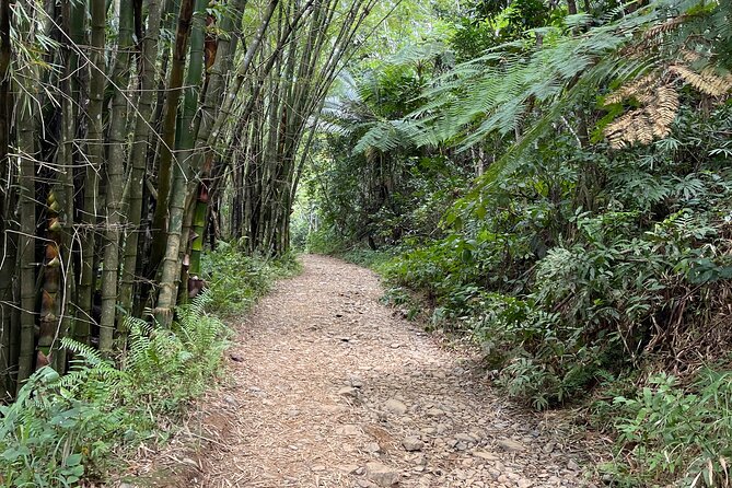 Small Group El Yunque Half Day Tour with Transport: Waterslide - Gear, clothing, and what to leave behind