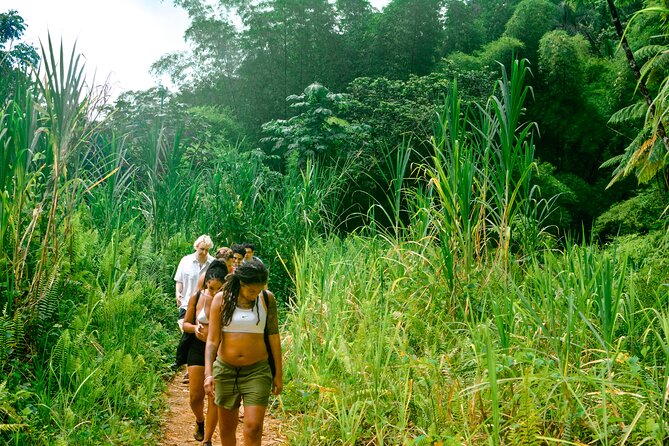 Small-Group El Yunque Rainforest Vivid Day Tour with Transport - The extra 15 minutes to the waterfall