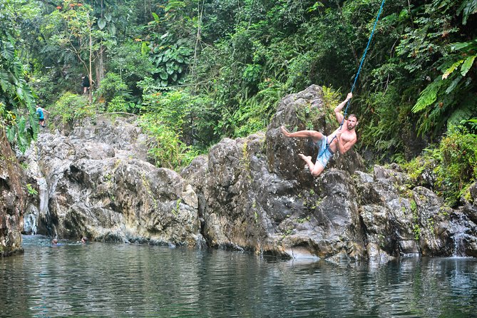 Small-Group El Yunque Rainforest Vivid Day Tour with Transport - Rock slides, rope swings, and cliff jumps