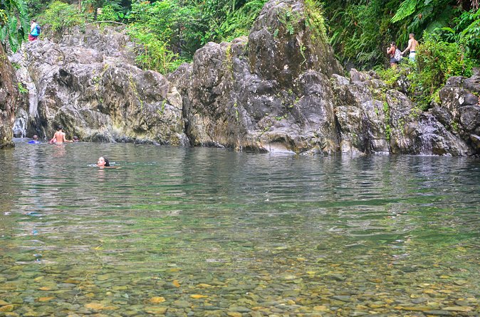 Small-Group El Yunque Rainforest Vivid Day Tour with Transport - Why arriving early helps