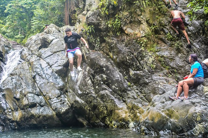 Small-Group El Yunque Rainforest Vivid Day Tour with Transport - Small-group size and guide quality