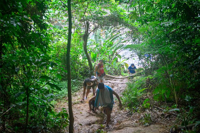 Small-Group El Yunque Rainforest Vivid Day Tour with Transport - What to bring, and what to leave behind