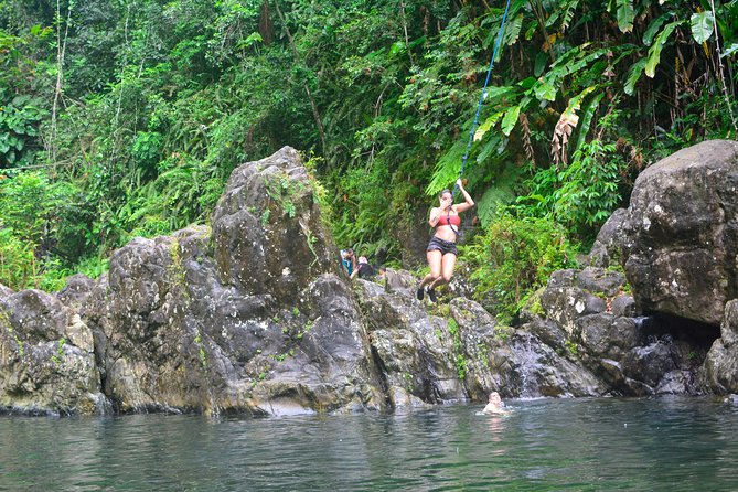 Small-Group El Yunque Rainforest Vivid Day Tour with Transport - The 30-minute walk to the first pool