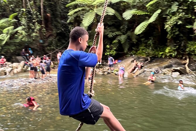 Small-Group El Yunque Waterslide Adventure & transportation - Key points to know before booking