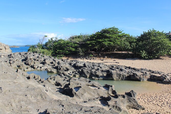Small-Group North Coast Beach Hopping Adventure in Puerto Rico - The ride from San Juan in a small group
