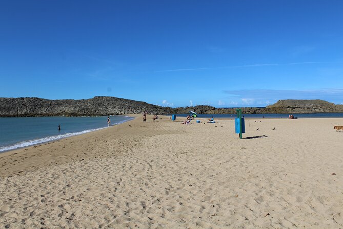 Small-Group North Coast Beach Hopping Adventure in Puerto Rico - Who will enjoy this beach-hopping trip