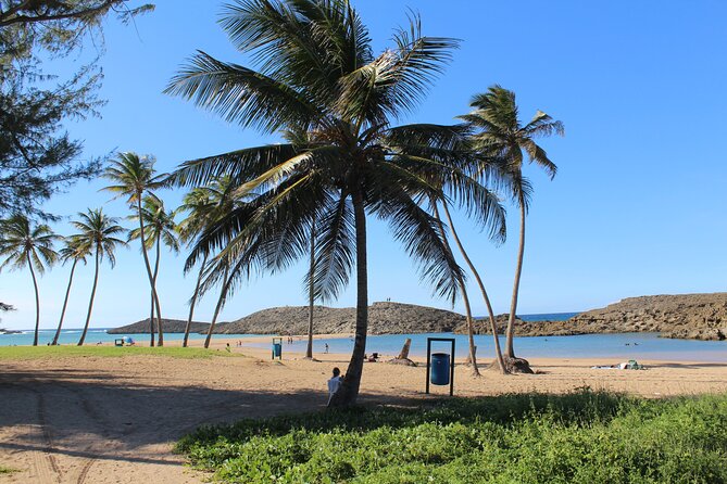 Small-Group North Coast Beach Hopping Adventure in Puerto Rico - A short taste of chinchorreo in Vega Baja