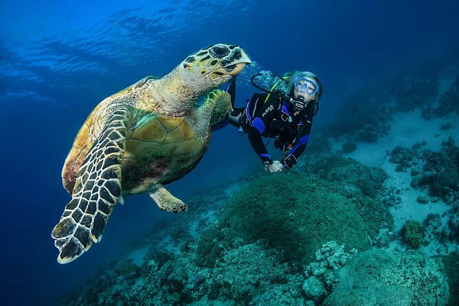 Snorkel, Swim & Snap-w/ Video - Escambron Beach gives you a low-fuss start