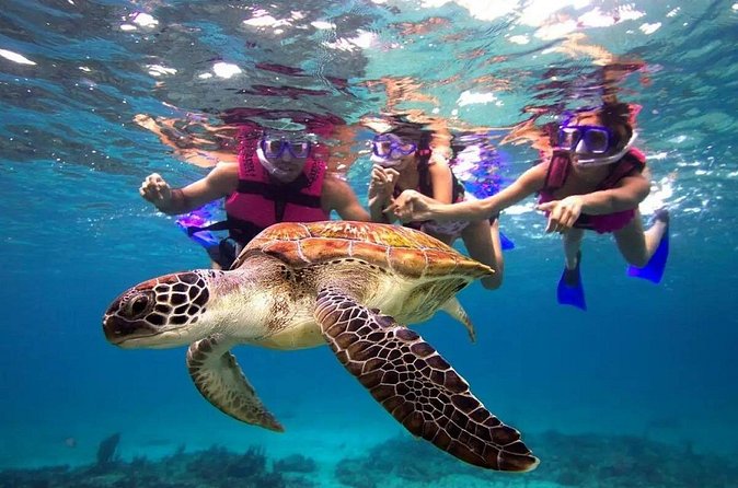 Snorkel, Swim & Snap-w/ Video - What the two-hour session is likely to feel like