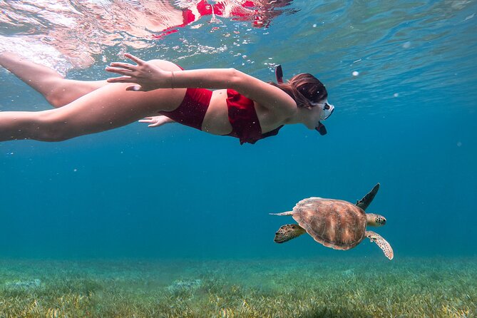 Snorkel, Swim & Snap-w/ Video - A private group changes the pace