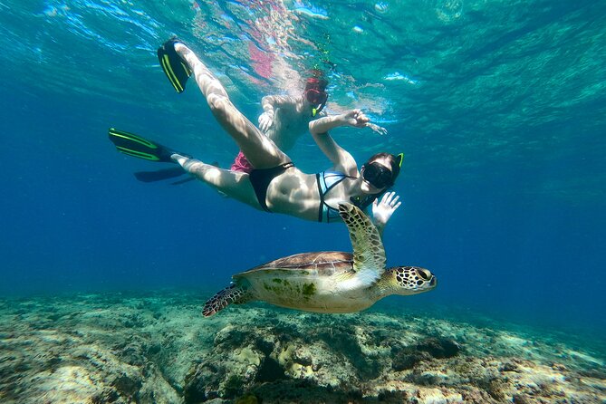 Snorkeling Adventure in Aguadilla - Key points to know before booking