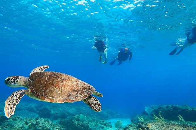Snorkeling Adventure in Aguadilla - Why this Aguadilla reef trip works for beginners